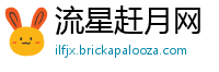 流星赶月网